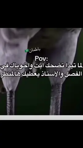 #رياكشنات_مضحكه_منوعه❤😂 