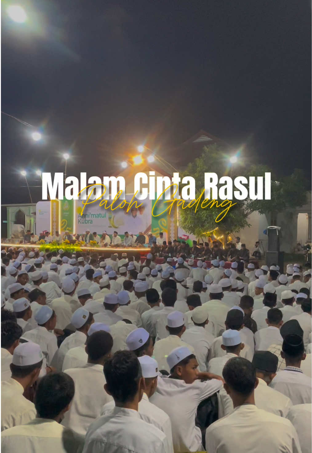 #dmdhpalohgadeng #dmdh #maulidnabi #maulidnabimuhamammadsaw #acehviral 