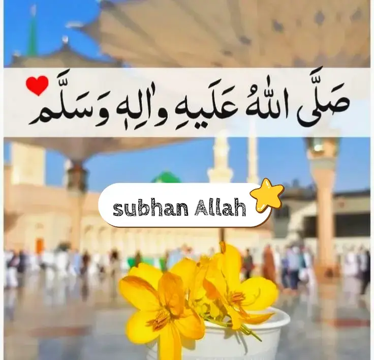 Allah pak Hum sub k gunao ko maf farma .. ameen#eidmiladunnabi #allah❤️ #subhanallah #islamic_video @TikTok 