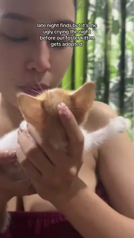 buti na lang inayawan nila si toti marie HAHAHAHAHHAHAHA #trexy #dogsoftiktok #catsoftiktok #fypシ #puspin 