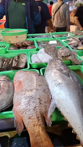ini nih tempat langganan aku kalau beli ikan yg masih segar2 #belanjan #ikan #pasar #jababeka 
