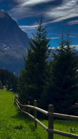 #سويسرا🇨🇭 تبا للبشرية اي والله ياشباب انشالله يحقك كل احلامكم امين يارب 🫡🇮🇶