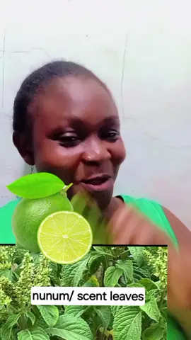 #creatorsearchinsights #healing_through_nature #fyppppppppppppppppppppppp #lime #scentleaf 