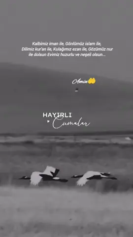 #hayırlıcumalar🌹🌺🌺🌷💖 #cumamesajları #hayırlıcumalar #cuma #dua 🤲🌹🕋