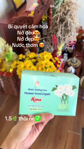 Cắm hoa vừa nở đẹp nở lâu thì các chị thử nước dưỡng hoa này nha #nuocduonghoa #hoadep #hoatuoi #hiengiadung #xuhuong 