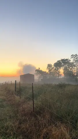 🇺🇸  #jjlawhorn #tobacco #farmtok #fallinthesouth 