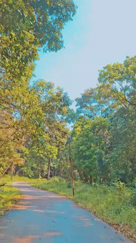 dimna ini🤩🤩 #lewatberanda #foryoupage #trending #galaubrutal🥀 #fyp 
