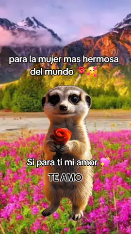 #Meme #MemeCut #CapCut @Yulisa Maas es para ti mi amor te amo 💖 