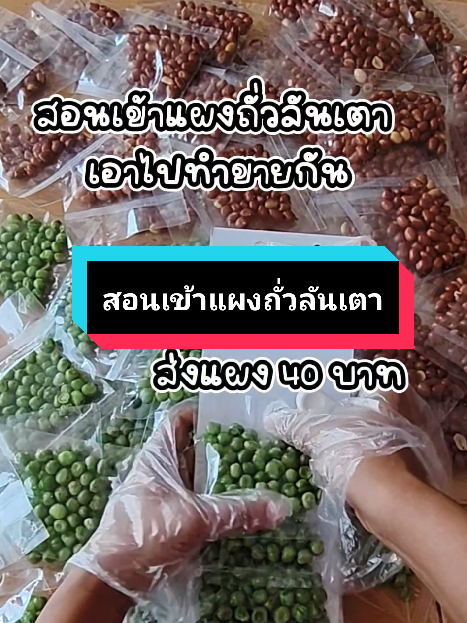 สอนเข้าแผงถั่วลันเตาเอาไปทำขายกันค่ะ 