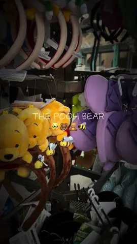 I regret not taking this with me :(  But I did buy a phooh that will be with me at all times hehe 🤎 #japan #disneysea #poohbear #disney #latinacreator 