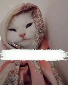 bcz im dramybaz 🙂😂 #foryou #foryoupage #viralvideos #unfreezemyacount 