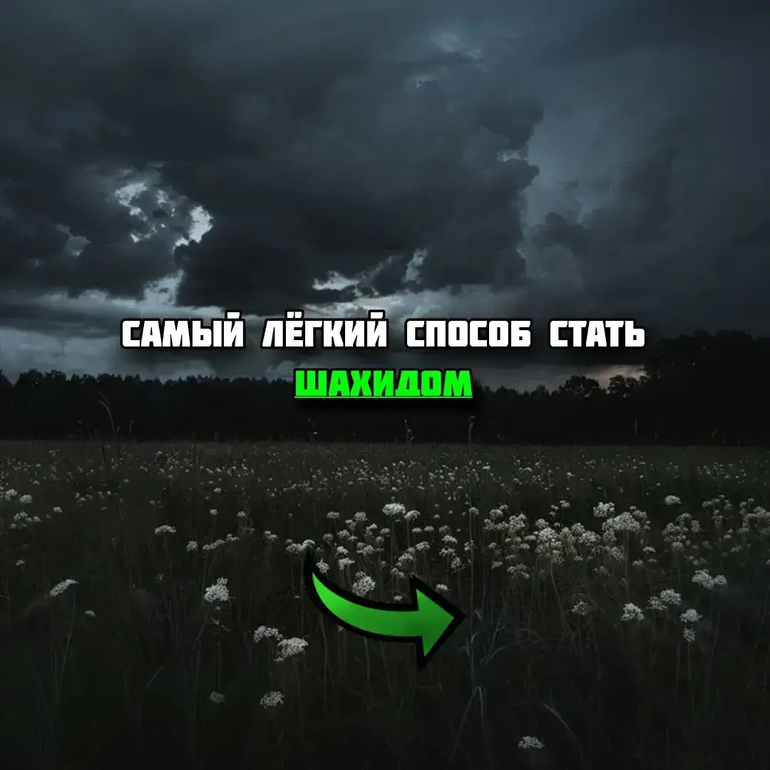 #islam #islamic #islamic_video #машааллах #islamic_media #религияислам #сабр #религия_мира_и_добра #repost #рекомендаци #мусульманин #мусульманка #viral #viralvideo #fyp #fyp viral #repost #альхамдулиллах #вэтотдень #ислам #fyp #терпение #sabr #сабр #foryou #muslim #религия #распростроняйте #репост #inshallah #поделись #recommendations #рекомендации #историяизжизни #вэтотдень #recommendations #foryoupage #employee #fact #facts #факт #ислам религия мира добра #исламскиевидео #муслим #истина #исламистина #mashallah #recomendation #вопросы #ответ #vira #мир #muslims #ответынавопросы #mashaallah #alhamdulilah #tiktok #обращение #напоминание
