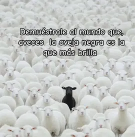 #soloparamentescoherentes #realidad #frases #foryou #fypシ 