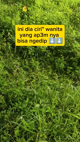 kok punya ku ga bisa live coba klik di bawah kalian dh bisa live belum ? #LIVEIncentiveProgram #MyLIVEJourney #PaidPartnership  #fyp #fypシ 
