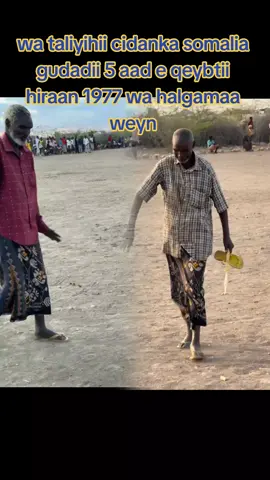 #CapCut🇸🇴🆎️🇱🇸🇸🇱 ninkii dhiranaan jirey waqtigaa dhan taale dherer iyo lixaadkii wax ku dhifi waayee#africantiktok #peopleofsomaliatiktok2023🇸🇴🇸🇴👌✅ #peopleofpuntlander🇸🇱 #hirshabelle💙🤍💚 