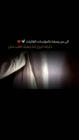 #اللهم-صلى-على-محمد-و-ال-محمد❤️❤️