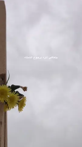 رجعت بعد الاحضر🥲💔.#تصويري📸 #youtube #youtuber #you #الكسبلور 