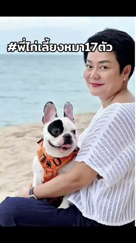 ซีเคร็ทตัวน้อย#พี่ไก่เลี้ยงหมา17ตัว #วีแคร์ยูไทยแลนด์ #น้องหมาน่ารัก #สวนสัตว์tiktok #สัตว์เลี้ยงtiktok 