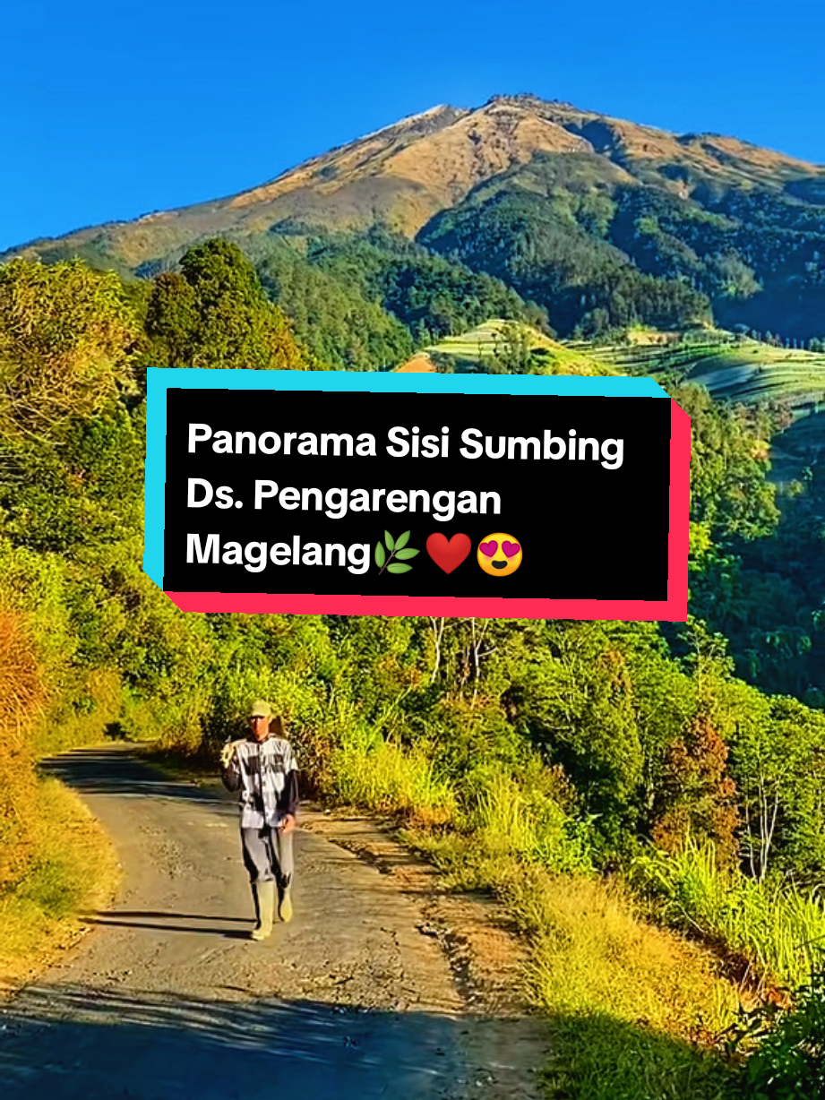 Seindah ini panorama sisi gunung sumbing magelang jateng 🌿❤😍#sisisumbing #gunungsumbing #magelangexplore #lagujawa #padahariini 