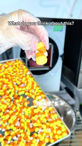 Who else loves it??? Let us know in the comments if you’re ready to try! 🤤 The haunted collection releasing for presale on Friday September 5th at noon MST.  Set your alarms 🚨  #candy #freezedried #halloween #release #new  