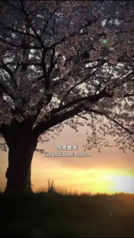 Hoàng hôn lặn.. Bình mình lên… Một ngày mới lại bắt đầu❤️ #xh 