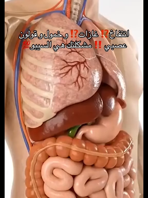 #مورينجا #فوائد_المورينجا #تنظيف_الباطنية #تنظيف_الجسم #صحة_الجسم #القولون_العصبي #انتفاخ_البطن #الإمساك #sibo #السيبو #اعراض_القولون #علاج_طبيعي #صحة_المعدة #السعودية #saudiarabia #ksa