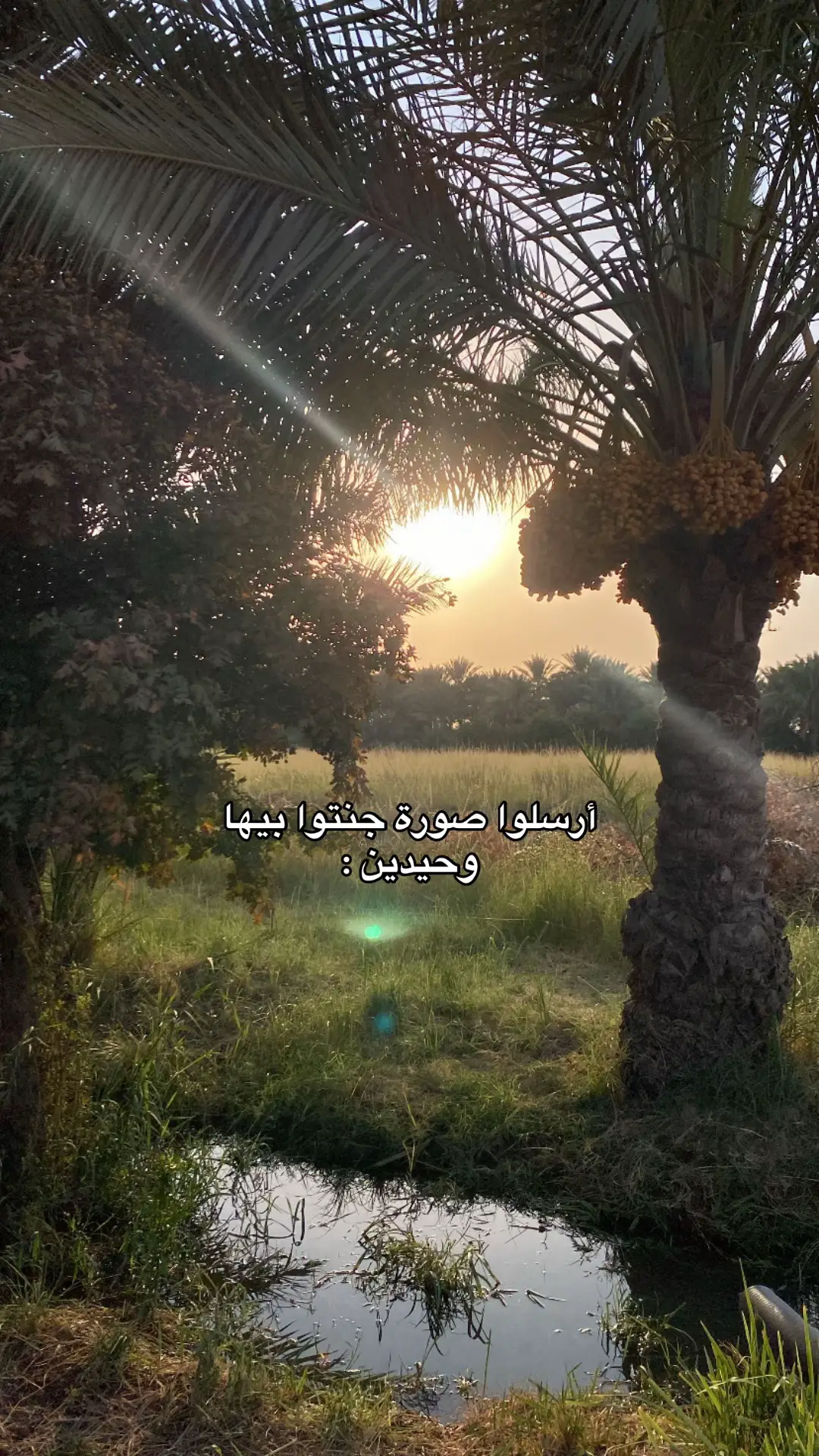 #iraq #ترند #foryou #axplor #ValentinesDay 