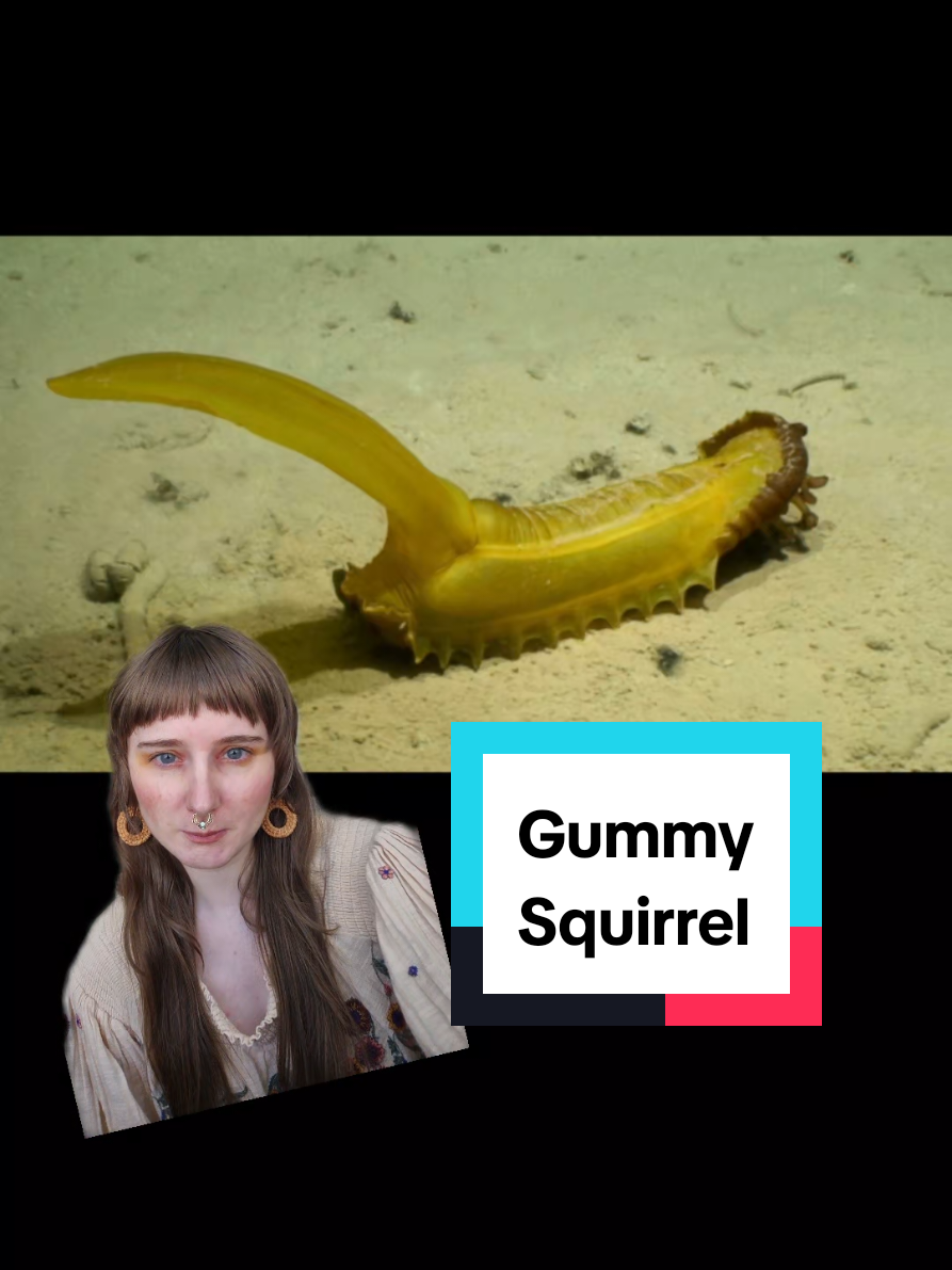 #greenscreen #marinebiology 
