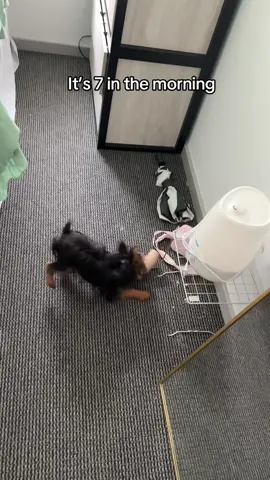 Wish I had that much energy 