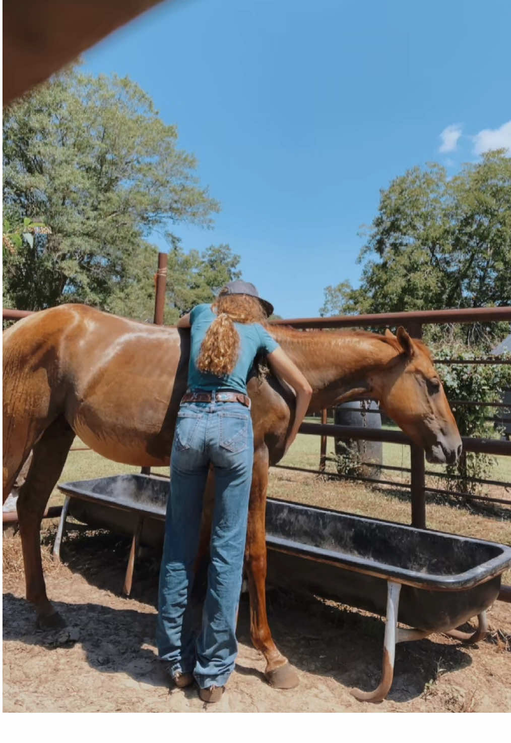Usually he moves away when he’s eating. Didn’t get my vid but at least I kinda got a hug 😂 #horse #equine #western #horsetraining #coltstarting 