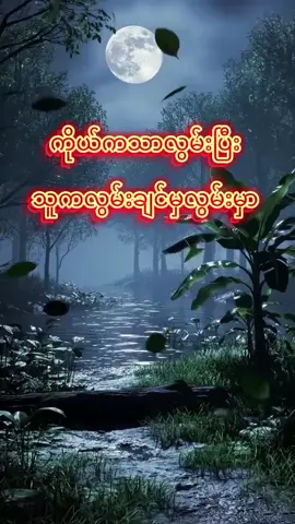 #ပါချုပ်ဆရာတော်ဘုရားကြီး🙏🙏🙏 #တရားတော်များ #foru #tiktokmyanmar 