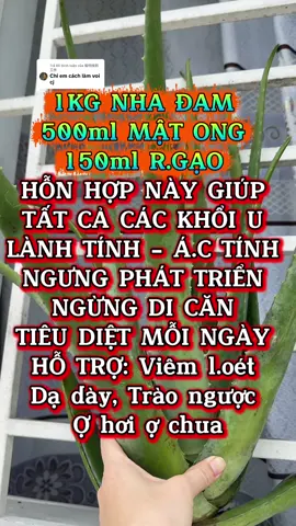 Trả lời @如何找到工作 CÁCH LÀM BÀI TH NHA ĐAM MẬT ONG VÀ R.GẠO GỐC.. #baithuocdangian #baithuochay #daunhucxuongkhop #saytran84 