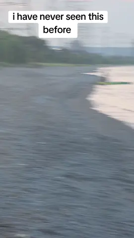 I have never seen this before #viral #beachvibes #viralvideos 
