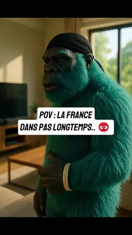 POV : La France dans pas longtemps.. 😬🇫🇷 #humour #viral #pourtoi #sketch 