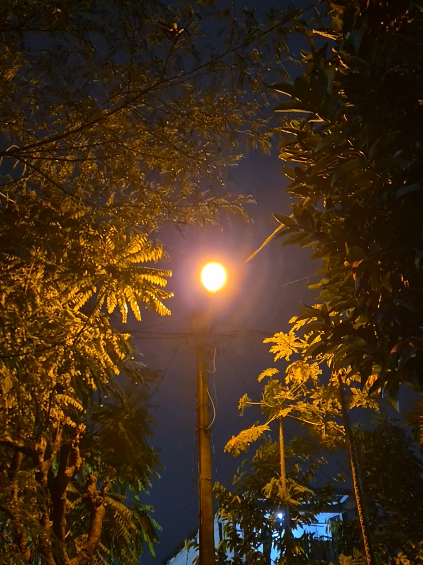 vibesnyaa...