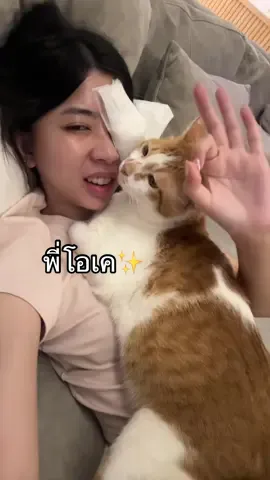 เด็กๆผลัดกันเฝ้า น้ิองมั่งมีกับพี่มีโชค🤣🤍 #ทริชเชียพี่มีโชค #ทริชเชียพี่หมั่งมั้ง #triciapmeechok 