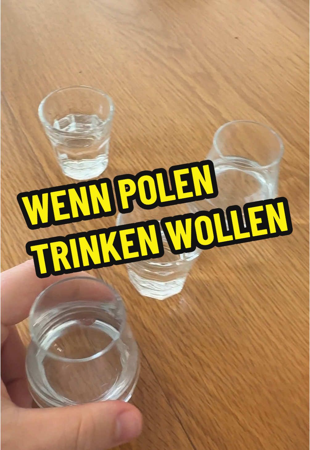 🇵🇱 Ist doch immer das Gleiche oder? #polnisch #eltern #trinken #lustig #typisch #dlaciebie