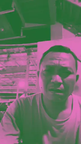 Klo setiap warna dikaitkan / di identikan ke hal2 yg buruk maka gak akan ada satupun warna yg baik, begitu juga sebaliknya.. Kalo mau negara ini maju, pejabat berbenah maka Fokuslah pada aspirasi yg harus disampaikan, jangan justru ribut masalah warna, nanti aspirasi gak sampai, pejabat korup malah pesta sambil tertawa terbahak bahak #fyp #fypシ゚viral🖤tiktok #bravepinkherogreen #178tuntutanrakyat 