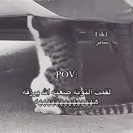 #رياكشن #fyp #pov #شعب_الصيني_ماله_حل😂😂 