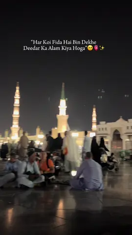 ہر کوئی فدا ہے بن دیکھے دِیدار کا عالم کیا ہوگا 😭🫀✨ #trending #madinah #peacefulmoments #muhummadصلى #nabimuhammadsaw 