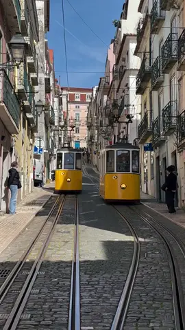 I visited the Glória funicular in March, it felt like such a timeless piece of Lisbon’s charm. It’s heartbreaking to now hear about the tragic accident that has taken so many lives and left many injured. Holding the victims, their families, and the city of Lisbon in my thoughts. #lisboa #lisbon #portugal🇵🇹 #funicular #gloriafunicular 