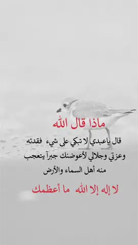ماذا قال الله تعالى🥺#عبارات #اكسبلورexplore 