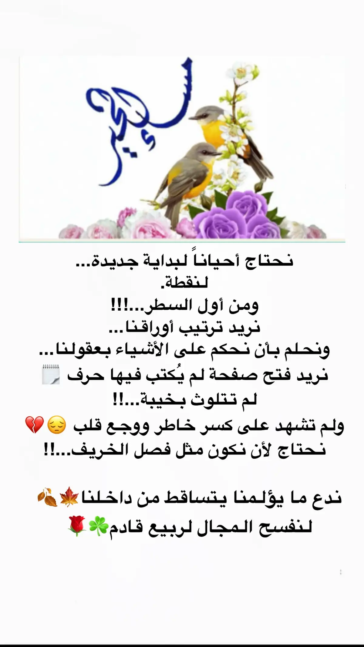#explore #اtiktok #اكيسبلوررررر #