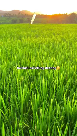 🙃#storywhatsapp #storybugis #katakata #sarimiisi2lebihenakbray #fyp 