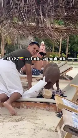 #colombia #viral #costa #isla #fypシ #paratii 