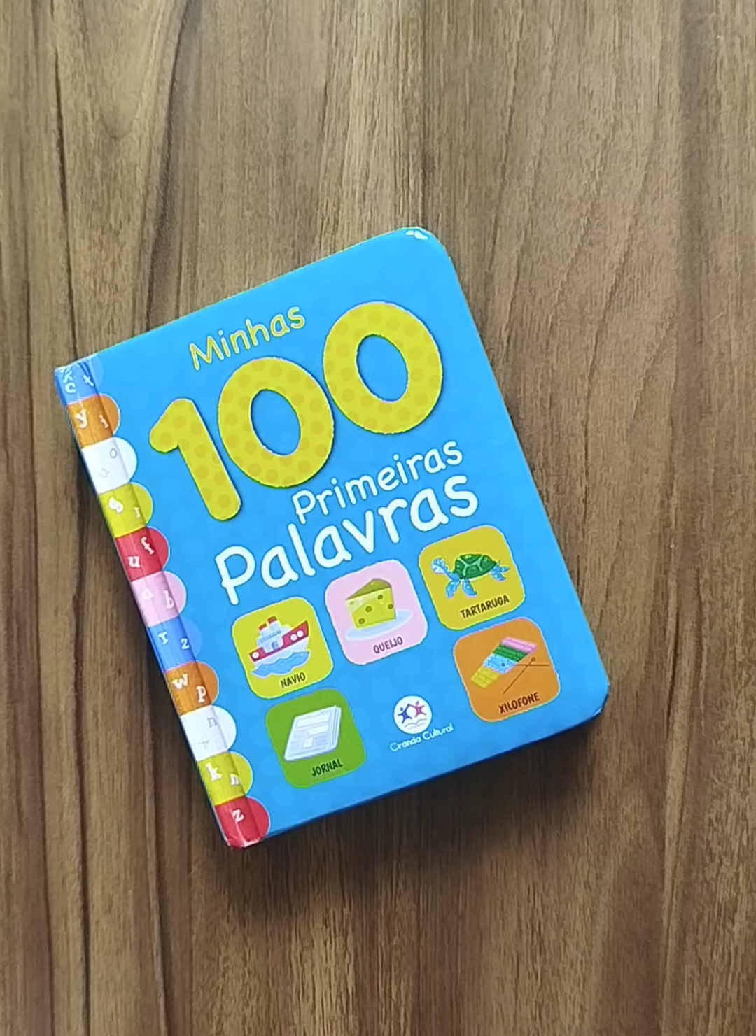Livrinho minhas primeiras 100 palavrinhas 🤩 Desenvolva a fala e a percepção visual do seu bebê 🩷🩵 #maternidade #desenvolvimentoinfantil #livro #tiktokviral  #creatorsearchinsights 