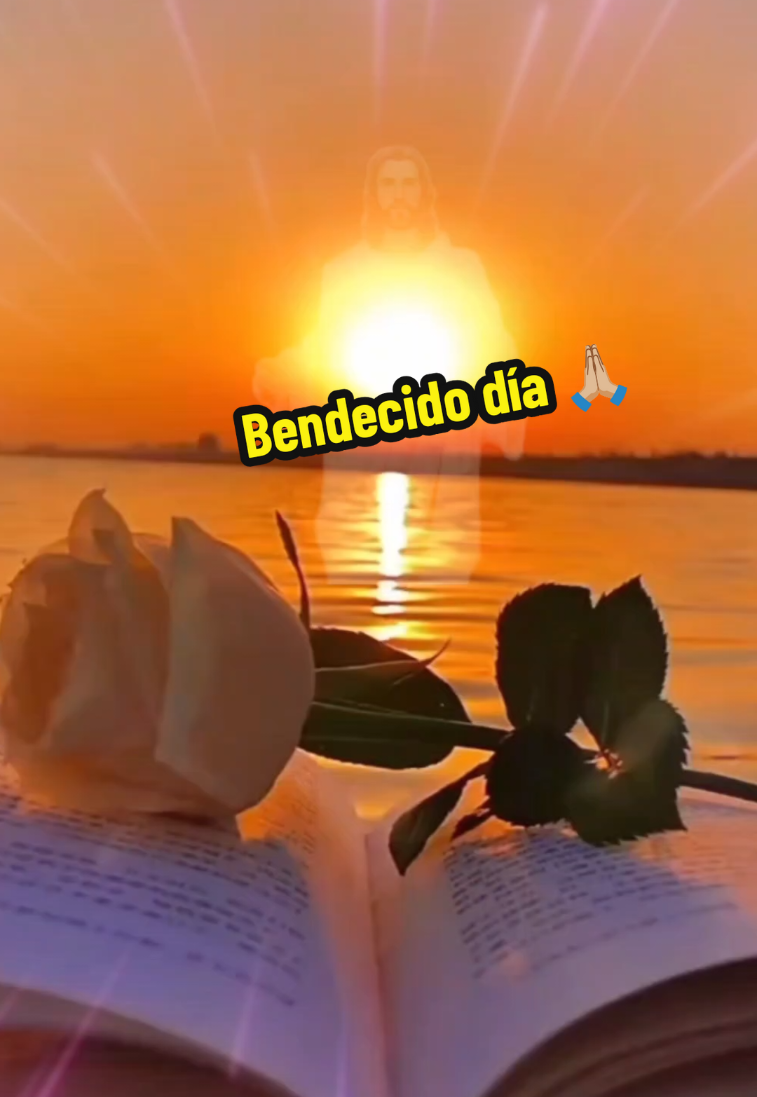 Excelente día para todos 😇 #fyp#yxzcba#saludos💐😍🌹 #CapCut#diostebendiga🙏❤ 