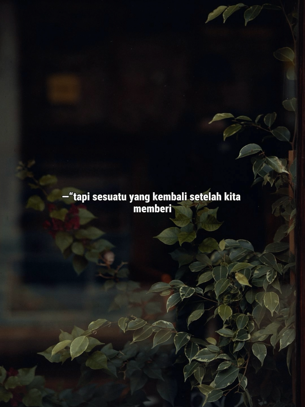 #quotestory #storywa #katakata #motivationdaily #trendtemplate 