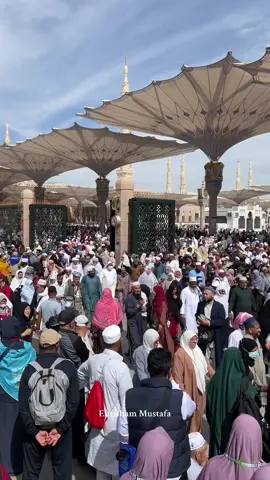 Madina Munawara  #madina #12rabi_ul_awal #fyp #trending #umrah 
