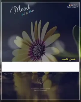وګرزيدم خو د وفا  #pashtonaat💗💖🤍🤍 #lawanaay_waziristan #foryou #پښتون_تاجیک_هزاره_ازبک_زنده_باد🇦🇫 #fypシ゚viral #fyp #zarar_masood_waziristani #pashtonaat 